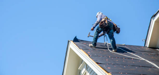 Best New Roof Installation  in Savoy, IL
